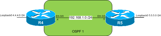 ospf-loop